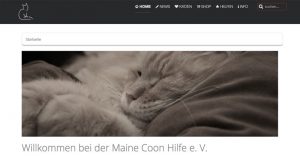Maine Coon Hilfe